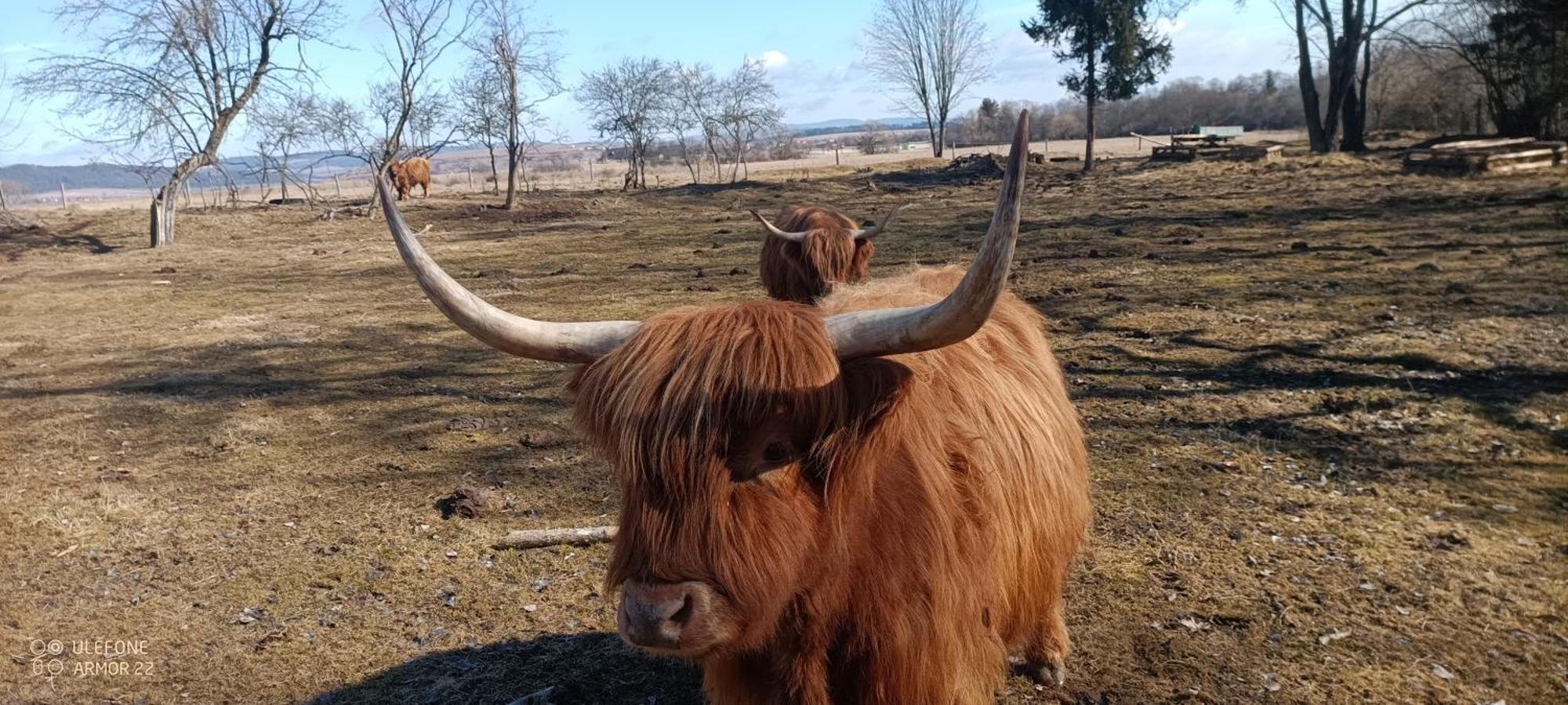Podlesok 697 Villa Hrabusice Luaran gambar